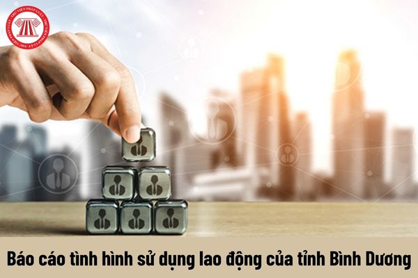 Mẫu báo cáo tình hình sử dụng lao động năm 2023 của tỉnh Bình Dương như thế nào?