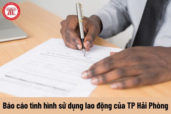 Tải mẫu báo cáo tình hình sử dụng lao động năm 2023 của thành phố Hải Phòng và những lưu ý khi điền báo cáo?