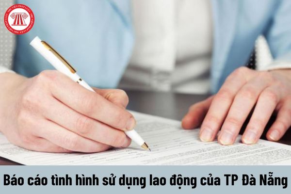 Báo cáo tình hình sử dụng lao động năm 2023 của thành phố Đà Nẵng và cách điền báo cáo?