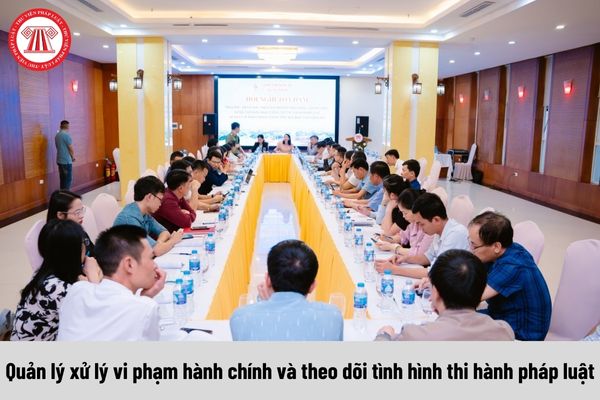 Quyền của Chuyên viên cao cấp về quản lý xử lý vi phạm hành chính và theo dõi tình hình thi hành pháp luật là gì?