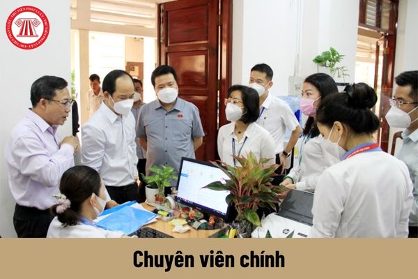 Chuyên viên chính về quản lý xử lý vi phạm hành chính và theo dõi tình hình thi hành pháp luật có những quyền gì?