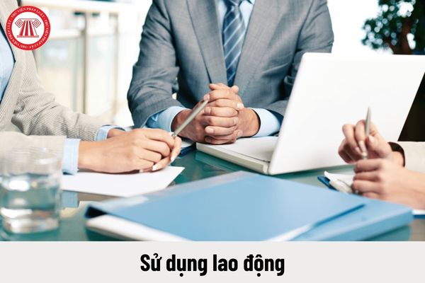 Mẫu báo cáo chuẩn về tình hình sử dụng lao động năm 2023 của Sở Đà Nẵng và lưu ý khi điền?