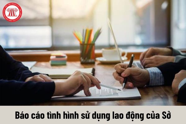 Tải mẫu báo cáo chuẩn về tình hình sử dụng lao động năm 2023 của Sở Hà Nội tại đâu?