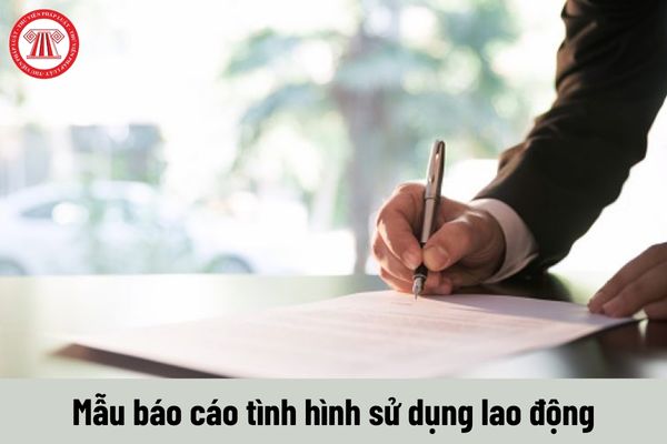 Những lưu ý khi điền mẫu báo cáo chuẩn về tình hình sử dụng lao động năm 2023 của Sở Hải Phòng?