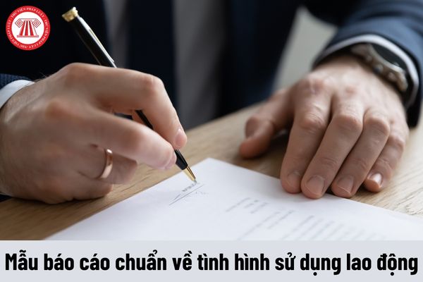 Thời hạn báo cáo và mẫu báo cáo chuẩn về tình hình sử dụng lao động năm 2023 của Sở Quảng Ninh?