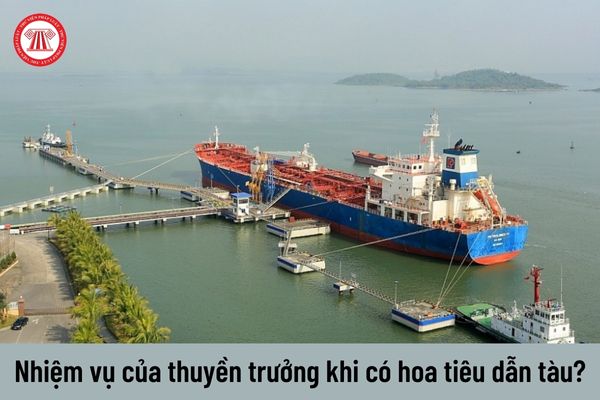 Khi có hoa tiêu dẫn tàu thì thuyền trưởng tàu biển Việt Nam phải thực hiện những nhiệm vụ nào?