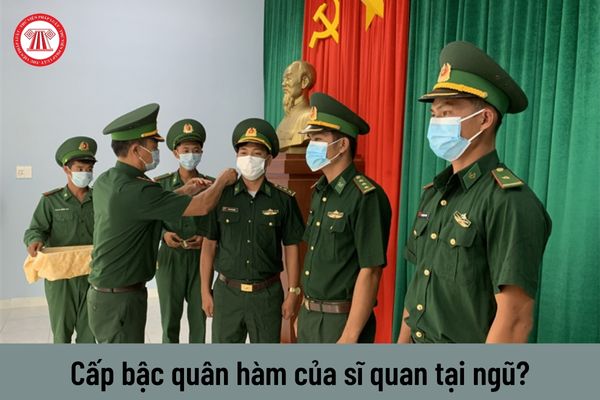 Các cấp bậc quân hàm của sĩ quan tại ngũ hiện nay? Điều kiện thăng cấp bậc quân hàm?