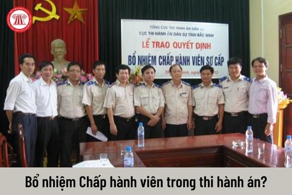 Tiêu chuẩn cơ bản để được bổ nhiệm làm Chấp hành viên trong thi hành án dân sự?