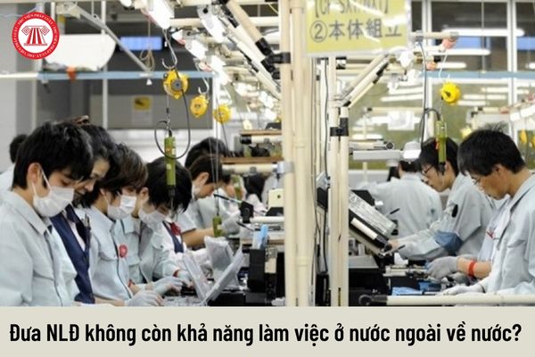 Người lao động không còn khả năng làm việc thì doanh nghiệp trúng thầu dự án ở nước ngoài có phải đưa họ về nước không?