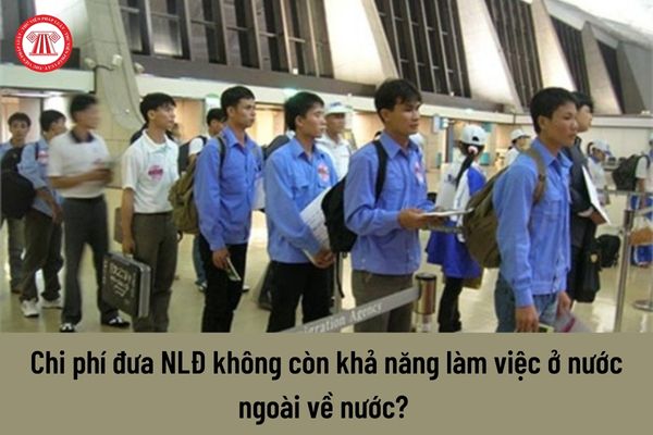 Doanh nghiệp trúng thầu không trả chi phí đưa NLĐ không còn khả năng tiếp tục làm việc ở nước ngoài về nước thì bị xử phạt thế nào?