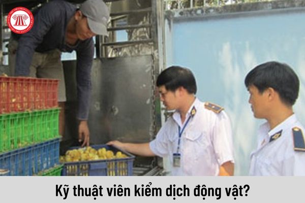 Kỹ thuật viên kiểm dịch động vật thực hiện những nhiệm vụ nào?