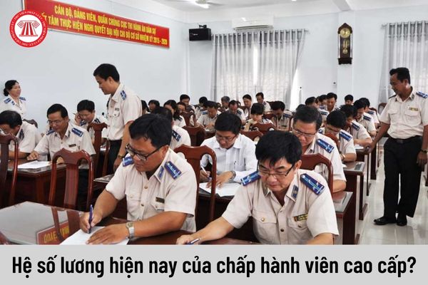 Chấp hành viên cao cấp hiện nay được áp dụng hệ số lương loại nào?