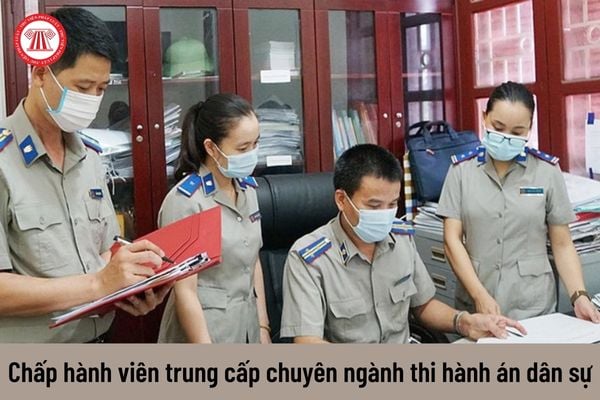 Chấp hành viên trung cấp chuyên ngành thi hành án dân sự hiện nay nhận mức lương bao nhiêu?