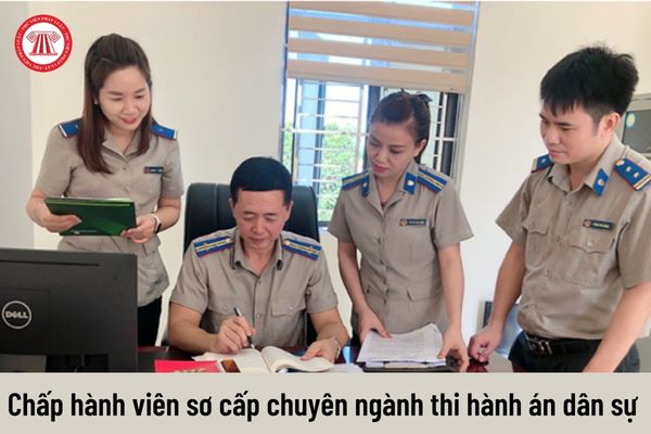 Chấp hành viên sơ cấp chuyên ngành thi hành án dân sự được nhận hệ số lương bao nhiêu theo quy định hiện nay?