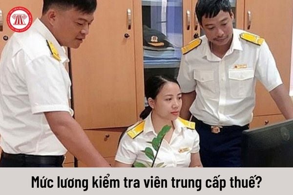 Mức lương từ 01/7/2023 của kiểm tra viên trung cấp thuế là bao nhiêu?