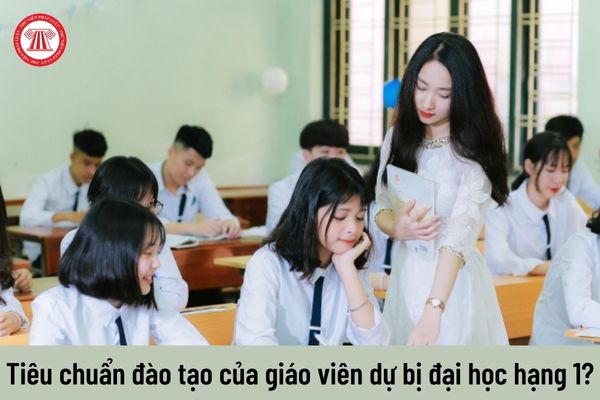 Tiêu chuẩn về trình độ bắt buộc đối với giáo viên dự bị đại học hạng 1?