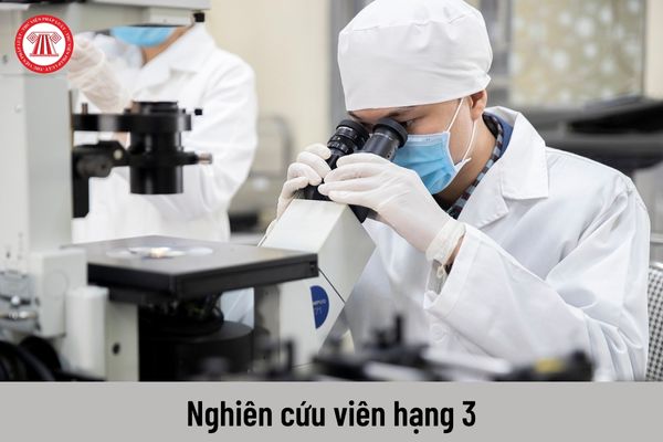 Từ 01/7/2023 mức lương đối với nghiên cứu viên hạng 3 là bao nhiêu?