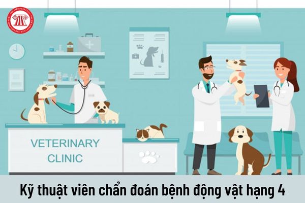 Mức lương của viên chức có chức danh kỹ thuật viên chẩn đoán bệnh động vật hạng 4 là bao nhiêu?