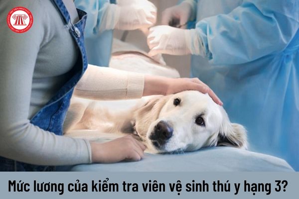 Mức lương của viên chức giữ chức danh kiểm tra viên vệ sinh thú y hạng 3 hiện nay là bao nhiêu?