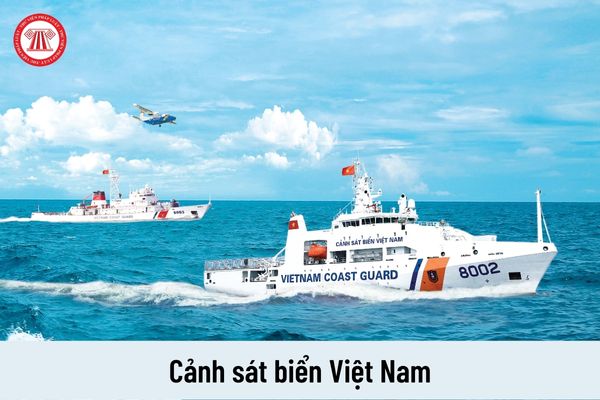 Cảnh sát biển Việt Nam được tổ chức và hoạt động theo những nguyên tắc nào?