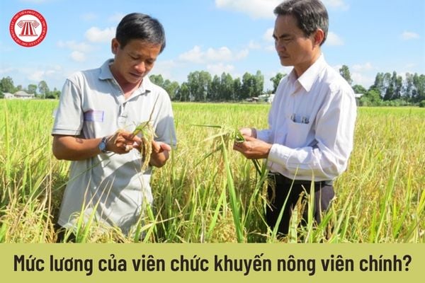 Khuyến nông viên chính được nhận mức lương là bao nhiêu?