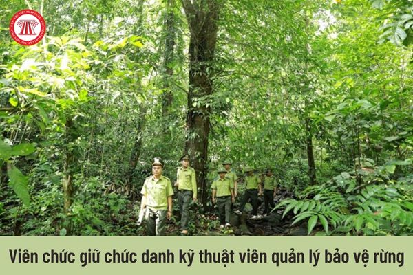 Viên chức giữ chức danh kỹ thuật viên quản lý bảo vệ rừng nhận mức lương là bao nhiêu?