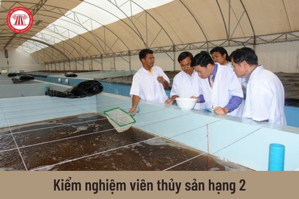 Kiểm nghiệm viên thủy sản hạng 2 được tăng mức lương kể từ ngày 01/7/2023?