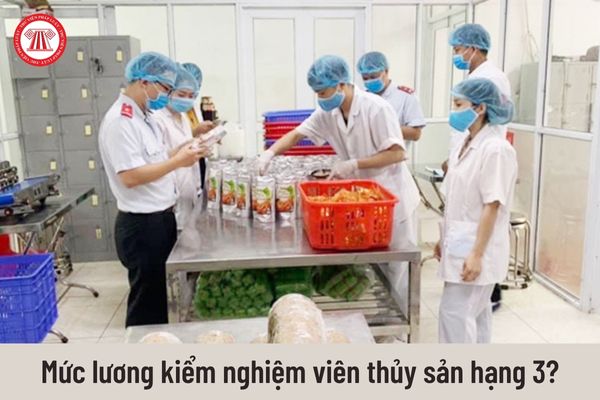 Kiểm nghiệm viên thủy sản hạng 3 hiện nay được nhận mức lương bao nhiêu?