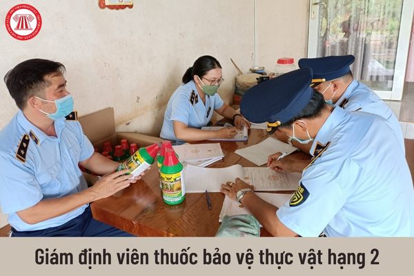 Giám định viên thuốc bảo vệ thực vật hạng 2 có mức lương bao nhiêu từ ngày 01/7/2023?