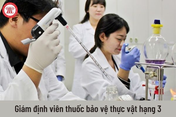 Mức lương chức danh giám định viên thuốc bảo vệ thực vật hạng 3 là bao nhiêu?