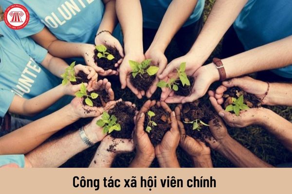 Mức lương của công tác xã hội viên chính hiện nay là bao nhiêu?