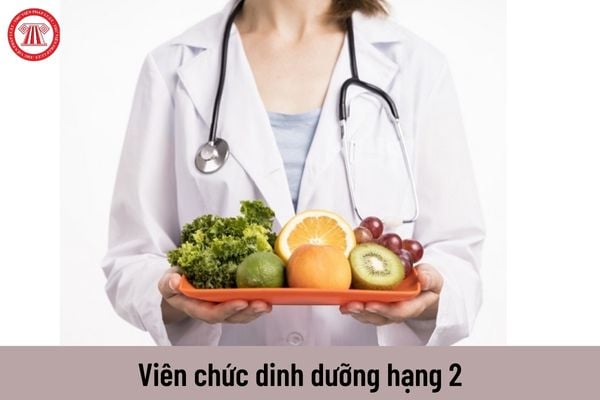 Viên chức dinh dưỡng hạng 2 có mức lương hiện nay là bao nhiêu?