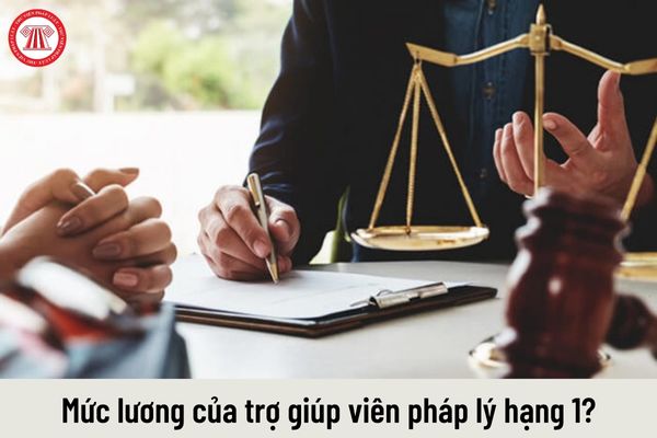 Mức lương hiện nay của trợ giúp viên pháp lý hạng 1 là bao nhiêu?