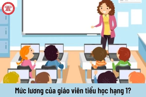 Giáo viên tiểu học hạng 1 được nhận mức lương hiện nay là bao nhiêu?