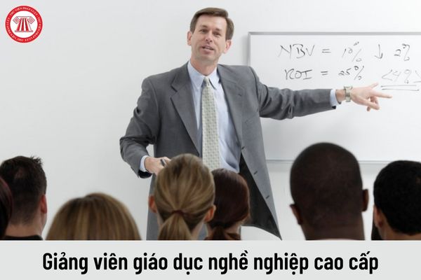 Giảng viên giáo dục nghề nghiệp cao cấp được nhận mức lương bao nhiêu?