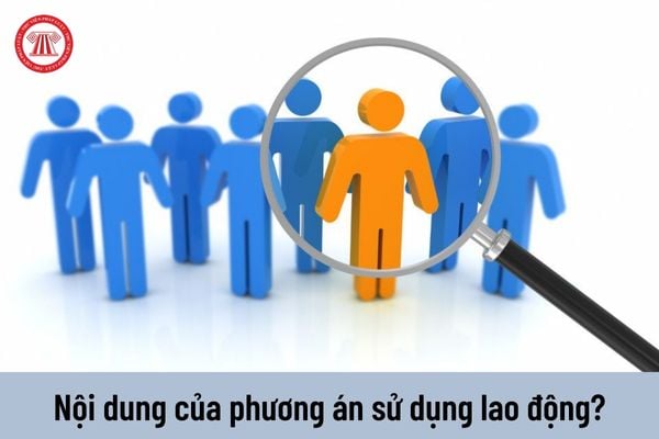 Lập phương án sử dụng lao động nhưng không đầy đủ các nội dung chủ yếu thì bị xử phạt ra sao?