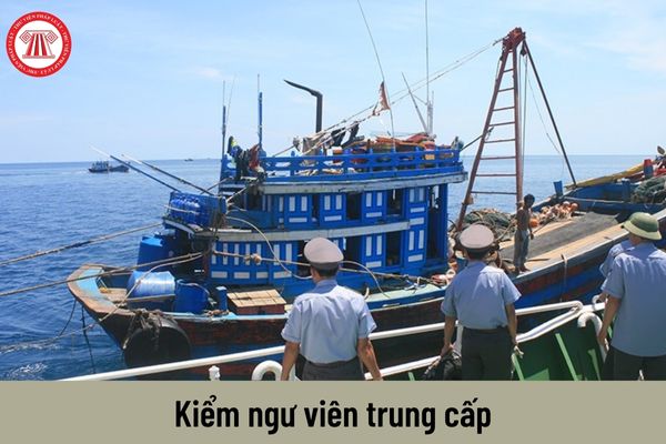 Mức lương của kiểm ngư viên trung cấp hiện nay là bao nhiêu?