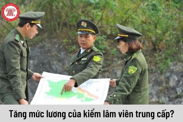 Từ ngày 01/7/2023 mức lương của kiểm lâm viên trung cấp là bao nhiêu?