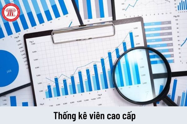 Mức lương của thống kê viên cao cấp hiện nay là bao nhiêu?