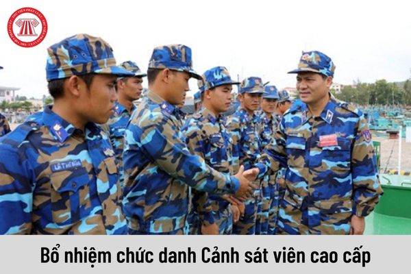 Điều kiện để được bổ nhiệm làm Cảnh sát viên cao cấp của Cảnh sát biển Việt Nam?