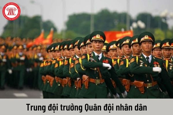 Trung đội trưởng của sĩ quan Quân đội nhân dân có cấp bậc quân hàm cao nhất là gì?