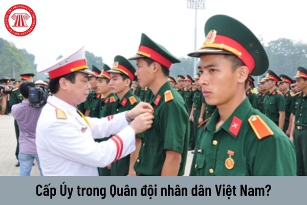 Trong lực lượng Quân đội nhân dân Việt Nam thì có bao nhiêu bậc quân hàm ở cấp Úy?