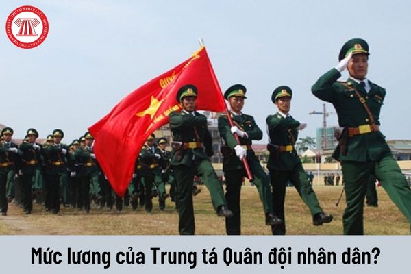 Mức lương của Trung tá Quân đội nhân dân Việt Nam là bao nhiêu?