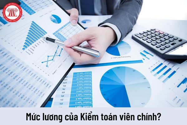 Mức lương hiện nay của Kiểm toán viên chính là bao nhiêu?