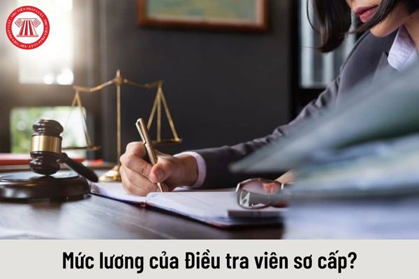 Mức lương hiện nay của Điều tra viên sơ cấp được nhận là bao nhiêu?