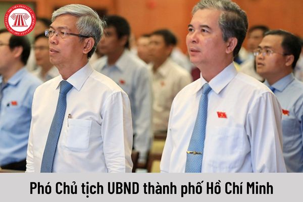 Phó Chủ tịch Ủy ban nhân dân thành phố Hồ Chí Minh được nhận mức lương hiện nay là bao nhiêu?