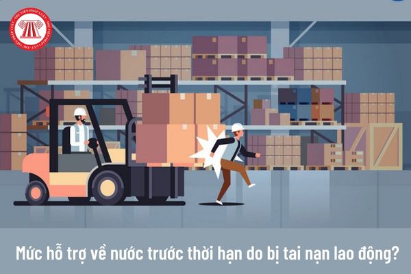 Người lao động phải về nước trước thời hạn do bị tai nạn lao động đến mức không còn khả năng tiếp tục làm việc ở nước ngoài thì được Quỹ Hỗ trợ việc làm ngoài nước hỗ trợ bao nhiêu?