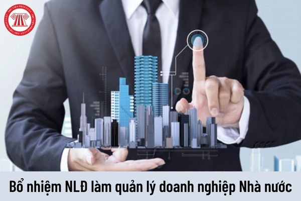 Người lao động được bổ nhiệm làm quản lý công ty TNHH MTV do Nhà nước nắm giữ 100% vốn điều lệ có được tạm hoãn thực hiện HĐLĐ không?