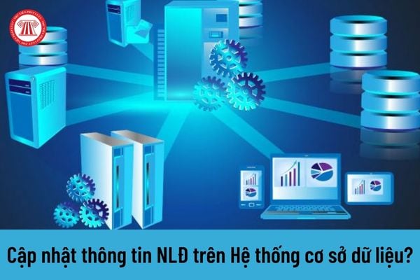 Không cập nhật thông tin người lao động lên Hệ thống cơ sở dữ liệu về người lao động Việt Nam đi làm việc ở nước ngoài thì bị xử phạt ra sao?