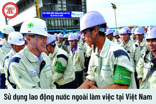 Khi sử dụng lao động nước ngoài làm việc tại Việt Nam thì việc xác định nhu cầu sử dụng sẽ được thực hiện như thế nào?